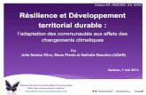 Résilience et Développement territorial durablearuc.robvq.qc.ca/public/documents/evenements/acfas_2013/ACFAS_Julia.pdfRésilience et Développement territorial durable : l’adaptation