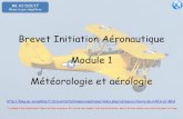 Brevet Initiation Aéronautique Module 1 Météorologie et ...blog.ac-versailles.fr/.../2017/BIA_module_1_Meteo.pdf · Module 1 . Météorologie et aérologie Programme BIA. N1 «