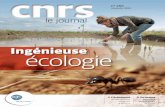 Ingénieuse écologie - Tour du Valat€¦ · Xavier Inglebert, directeur général délégué aux ressources (DGD-R) du CNRS, a détaillé le budget 2012 de l’organisme. D’un