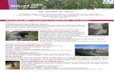 N°7 - Juin 2016hautes-alpes.n2000.fr/sites/hautes-alpes.n2000.fr/files/... · 2016. 8. 31. · Des balades nature gratuites à la découverte de la faune et la flore des gorges de
