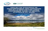 PROJET DE STRATÉGIE DE RENFORCEMENT DES CAPACITÉS … · Projet de stratégie de renforcement des capacités pour la gestion des aires protégées, dans la région d’Afrique du