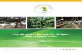 Etat du secteur forestier en Afrique : défis et opportunités...Etat du secteur forestier en Afrique : défis et opportunités 6 poisson et la viande de brousse, les insectes comestibles,