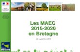 de la forêt Les MAEC 2015-2020 en Bretagnedraaf.bretagne.agriculture.gouv.fr/IMG/pdf/diaporama... · 2016. 2. 4. · de la forêt Les MAEC 2015-2020 en Bretagne 22 septembre 2015.