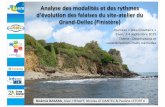 Analyse des modalités et des rythmes d'évolution des ... · ¾Au Grand-Dellec, érosion et dynamique des falaises contrôlées par : • La géomorphologie interne et la géologie
