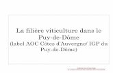 La filière viticulture dans le Puy-de-Dôme · 2020. 6. 10. · d’un volcan. Terroir : Un sol argilo-calcaire au sud et basaltique au nord avec des affleurements de pouzzolane.