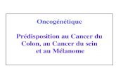Oncogénétique Prédisposition au Cancer du Colon, au Cancer ...€¦ · RB-E2F G1 M S G2 Point START p53 E2F oncogènes gènes tumeur-suppresseurs MDM2 dégradation Cdk4-cyclin