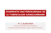 DIAGNOSTIC BACTERIOLOGIQUE DE LA TUBERCULOSE … · 2020. 2. 16. · la TBC bovine, M.tuberculosis : principale étiologie des TBC ganglionnaire à côté des MNT. TUBERCULOSE . EPIDEMIOLOGIE