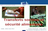 Transferts sociaux et sécurité alimentaire - Inter-Réseaux … · DEVCO C1 Les piliers de la sécurité alimentaire Les transferts sociaux et la sécurité alimentaire Atelier