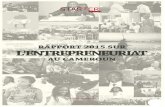 Rapport Entrepreneurship 2015 - UCLGAknowledge.uclga.org/IMG/pdf/rapport2015surlentrepreneuri... · 2018. 4. 2. · Indiegogo 10.840.292 122.600 × 13. Unité de production et de