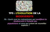 TP5 : L’EVOLUTION DE LA BIODIVERSITE - Freephilippe.joyeux37.free.fr/TS/ts-2013/documents/correction... · 2013. 10. 22. · Une mutation a entraîné l’apparition de l’allèle