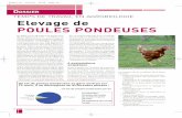 travail en AB - Capbio-Bretagne...19p19-34 3/07/06 15:26 Page 10 DOSSIER TEMPS DE TRAVAIL EN A de En 2004, sur les 48 millions de poules pon- deuses élevées en France, 1,5 millions