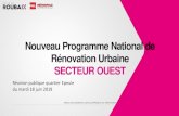 NouveauProgrammeNationalde Rénovation Urbaine SECTEUR … · 2019. 7. 3. · 1. Dans la partie Nord : production de logements privés (site « Canifrance » maîtrisé par l’EPF).