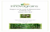 Rapport sur les essais de démonstration · Rapport sur les parcelles de démonstration d’engrais verts 2013-2014 4 Réseau Innovagrains 1. Introduction Mis en place au printemps