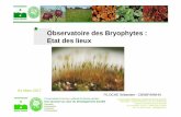 Observatoire des Bryophytes : Etat des lieuxcbnbp.mnhn.fr/cbnbp/ressources/telechargements/2... · Observé a nouveau sur la RNN Coteaux de Seine (Filoche, 2016) • Oleolophozia
