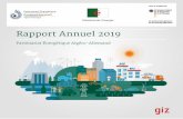 Rapport Annuel 2019 · 2020. 8. 9. · Rapport Annuel 2019 Partenariat Énergétique Algéro-Allemand . ... Cette version du Grid Code vient modifier et compléter celle de 2008,