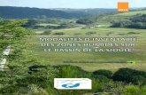 MODALITE D’INVENTAIRE DES ZONES HUMIDES SUR LE BASSIN … · phase 2 : cartographie et caracterisation simplifiee des zones humides effectives 30 1. cartographie des zones humides