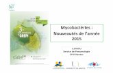 Mycobactéries-:- Nouveautésdel’année- 2015splf.fr/wp-content/uploads/2015/12/JM1_DirouS.pdf · 2015. 12. 8. · 1115_DirouS_ mycobactéries 2015 VF3.pptx Author: Elise Crutel