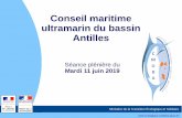 Conseil maritime ultramarin du bassin Antilles · 11 La mission principale du CMUBA est d’élaborer le Document Stratégique de Bassin, dit DSB. Code de l'Environnement : « Art.