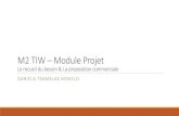 M2 TIW Module Projet · • Rédiger un compte-rendu de comité de ... nouvelles habitudes des clients notamment leurs demandes en services numériques. En matière de digitalisation,