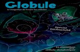 Le magazine de toutes les cellulesglobulemag.org/wp-content/uploads/2020/05/Globule... · « Et encore, je peux vous dire que j’ai simplifié! Juste au-dessus de nous, dans l’épiderme,