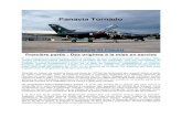 Panavia Tornado : (1974) Biplace tactique tout temps ...richard.ferriere.free.fr/bleneau/tornado1/tornado1.pdf · remplacer Folland Gnat et Hawker Hunter T.7 d'une part, Fouga Magister,