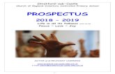 PROSPECTUS - StratfordSubCastlestratford-sub-castle.wilts.sch.uk/wp-content/... · us. We are proud to treat each of our pupils as an individual. We want to motivate every pupil to