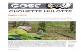 CHOUETTE HULOTTEchouette-gobe.ch/wp-content/uploads/2017/08/rapportSa2014.pdf · CHOUETTE HULOTTE Saison 2014 Le contrôle a porté sur 57 nichoirs (19 installés par le GOBE et 38