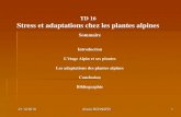 Sommaire - WordPress.com21/12/2010 Alizée BONNARD 8 Stress et adaptations chez les plantes alpines II – Les adaptations des plantes alpines Exemple d’une silène acaule (Silene