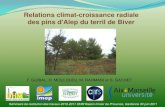 Relations climat-croissance radiale des pins d'Alep du ... · Relation positive entre les précipitations d’ Août et Septembre : reprise de l’activité de croissance(fin été-automne).