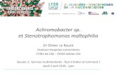 Achromobacter sp. Stenotrophomonas maltophilia · 0 2 4 6 8 10 12 Stenotrophomonas maltophilia Achromobacter sp. Données 1999 à 2016 issues du Registre français de la mucoviscidose