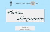 Plantes allergisantes - Claude Bernard University Lyon 1botanique.univ-lyon1.fr/Plantes allergisantes.pdfPour avoir une idée des plantes responsables de ces 3 pics, voir le calendrier