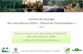 Comité de pilotage des sites Natura 2000 « Massif de ... · 3 Equipe de réalisation 2017/2020 • Fin du marché 2014- 2017 • Nouveau marché 2017 – 2020 ONF Animateur : Y.