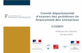 Comité départemental d’examen des problèmes de …Présentation de la mission du CODEFI en matière du traitement des entreprises en difficulté : les audits d ’entreprise ...