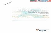 PICOREF : Piégeage du CO dans les réservoirs géologiques en …infoterre.brgm.fr/rapports/RP-54675-FR.pdf · PICOREF : Piégeage du CO 2 dans les réservoirs géologique en France