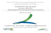 Rapport de stagemorganmontes.fr/files/rapport-lattes.pdf · 2012. 10. 30. · Page | 4 Morgan Montes - Rapport de stage – Mairie de Lattes Remerciements Je tiens à remercier mon