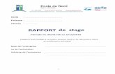 RAPPORT de stage - Ecole du Nord Ile Maurice · Par ailleurs, votre rapport sera un outil de travail essentiel pour la Consignes à respecter pour rédiger votre rapport final. Les
