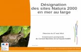 Désignation des sites Natura 2000 en mer au large… · 2016. 3. 17. · 3 1) Contexte : état des lieux du réseau Natura 2000 en mer Situation actuelle : - Environ 210 sites marins