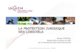 LA PROTECTION JURIDIQUE DES LOGICIELS - Promouvoir les 2014. 4. 11.¢  LA PROTECTION DES LOGICIELS PAR