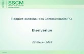 Rapport cantonal des Commandants PCI - VD.CH · 2010. 2. 26. · Dès son lancement, le projet a prônéle développement de valeurs sociales et s’est astreint à respecter la déontologie