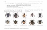Note sur quelques Cerambycidae du Massif armoricain (troisième · PDF file 2017. 4. 3. · Invertébrés Armoricains , 2009, 3 : 32-34. 1 3 rue de la santé, F-35000 Rennes, 2 1 le