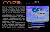 MDS - Tigre · 2016. 2. 15. · Résistivimètre multi-électrodes Tigre 24, place Charles Fillion 75017 PARIS Tél. : 01 46 27 36 35 Fax : 01 46 27 49 08 info@mds-paris.com Spécifications