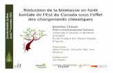 Réduction de la biomasse en forêt boréale de l’Est du ... · (T.ha-1) Composition NPP +-+ + Heat-induced tree mortality rates--+ North and South South/ (1) Vegetation "bottom-up"