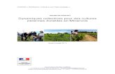 DRAAF Occitaniedraaf.occitanie.agriculture.gouv.fr/IMG/pdf/91-35... · Dynamiques collectives pour des cultures pérennes durables en Minervois . ... sols argilo-calcaires du Minervois,