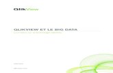 QLIKVIEW ET LE BIG DATAgo.qlikview.com/rs/qliktech/images/Livre-Blanc-QlikView-et-le-BigData.pdfBig Data Analytics: Profiling the Use of Analytical Platforms in User Organizations