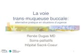 La voie trans-muqueuse buccale - Palli-Science · 24 Trans-muqueuse buccale: Physiologie: comparaison avec la peau Ce sont des epitheliae pavimenteux et stratifiés La muqueuse orale