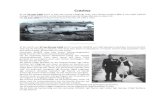 Crashes - Platform Militaire Historie Ede · Crashes Al op 10 mei 1940 stort in Ede het eerste vliegtuig neer, een Duitse Junkers 88A-2 van Stab I/KG30 (vlieger FW Hartmann), en bij