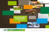 RappoRt annuel - Confederation Construction · de la législation et l’aide à obtenir de nouveaux marchés la cellule environnement conseille l’entrepreneur dans la gestion environnementale