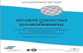 sécurité collectivearchive.grip.org/fr/siteweb/images/RAPPORTS/2008/2008-6.pdf · 2012. 8. 27. · Ce rapport est co-édité par le GRIP (Groupe de recherche et d’information