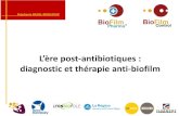L’ère post-antibiotiques : diagnostic et thérapie anti-biofilm · 2017. 12. 8. · Modèle Animal Souche clinique S14 - β-lactamine 122430 22 0 2 4 6 8 Bacterial load in Log