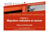 Chapitre 3 : Migration cellulaire et cancerunf3s.cerimes.fr/media/paces/Grenoble_1112/cavail... · Migration cellulaire et cancer ... -L'échappement à la réponse immunitaire anti-tumorale